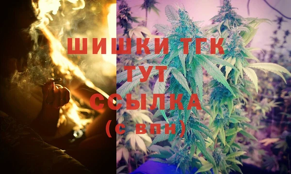 стаф Белокуриха